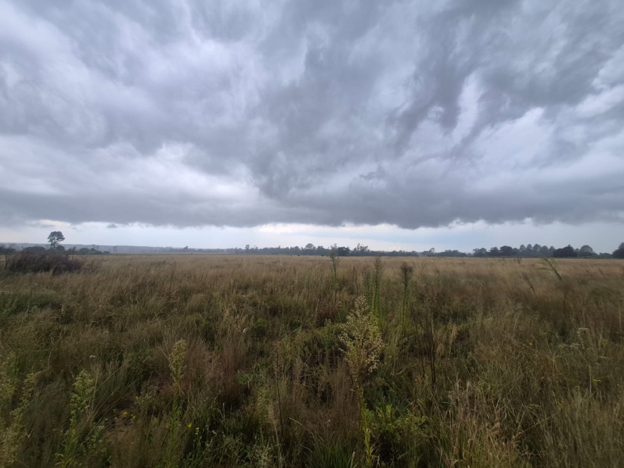 0 Bedroom Property for Sale in Vaalpark Free State